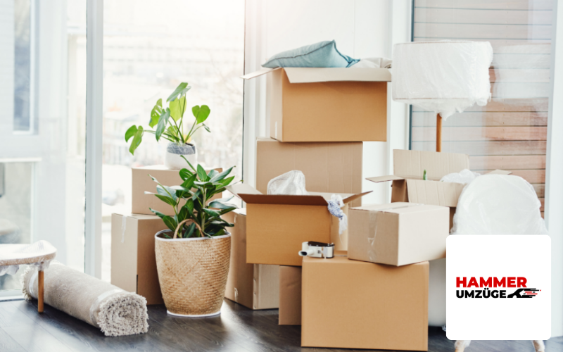 Webdesign Agentur Moenchengladbach Referenz Umzugsunternehmen